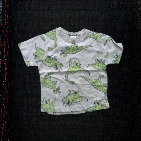 Boys Grey Dinosaur Pattern Round Neck T-Shirt - 2 Yrs